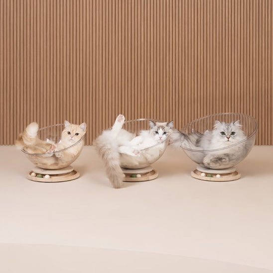 lit pour chat soucoupe claire