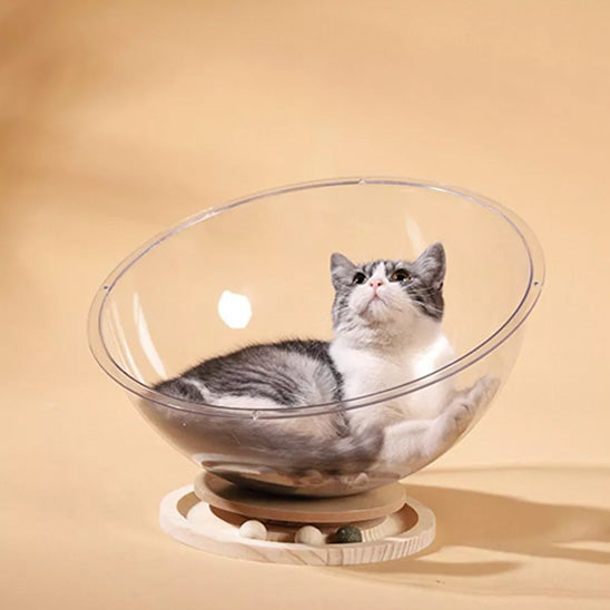 lit pour chat soucoupe premium