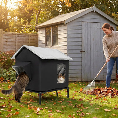 maison exterieur pour chat innovante chaude