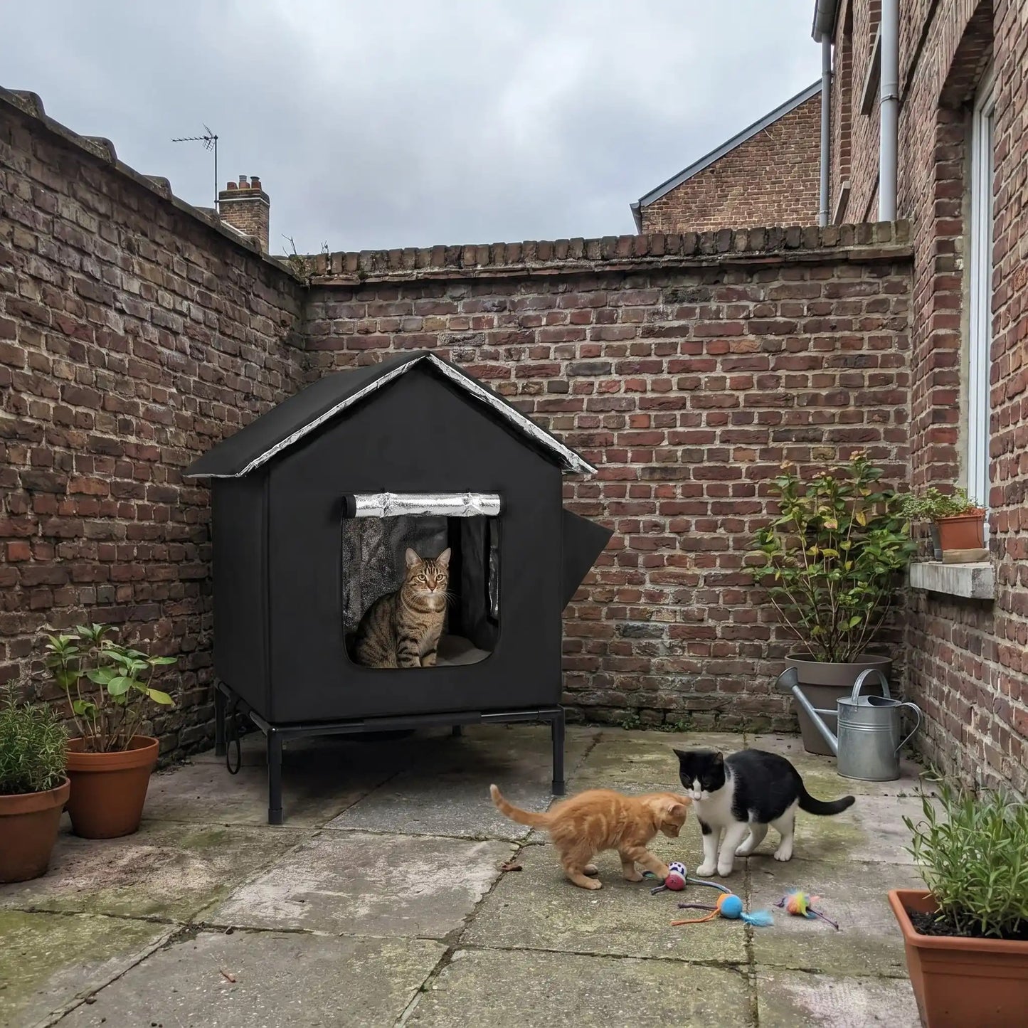maison exterieur pour chat noire et chaude