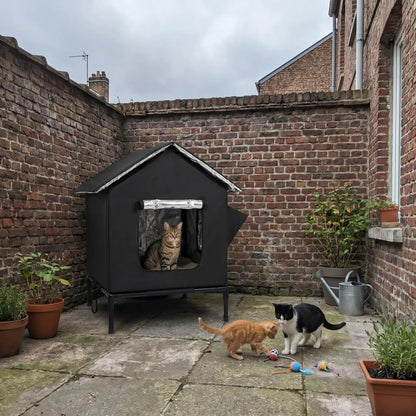 maison exterieur pour chat noire et chaude