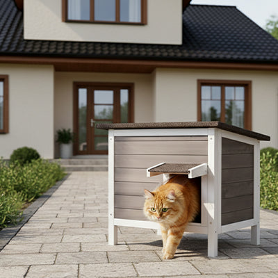 niche exterieur pour chat magnifique