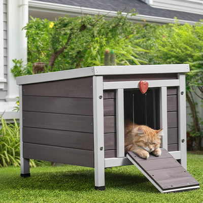 niche exterieur pour chat pratique