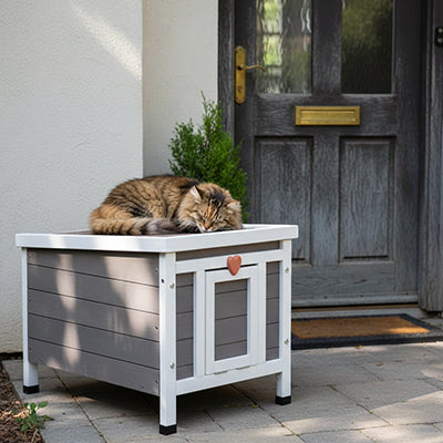 niche exterieur pour chat unique et grande