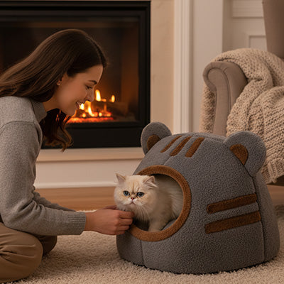 niche pour chat avec un foyer