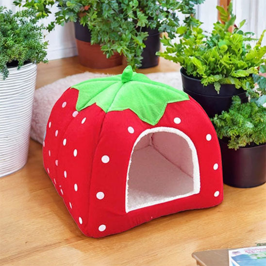niche pour chat rouge fraise