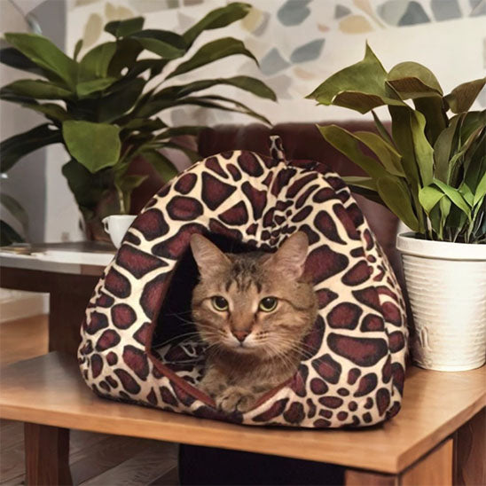 niche pour chat unique en leopard
