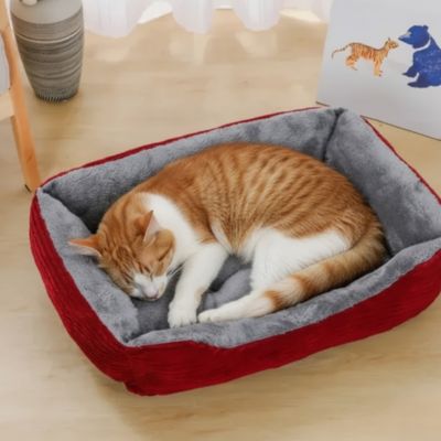 panier chat confortable rouge doux