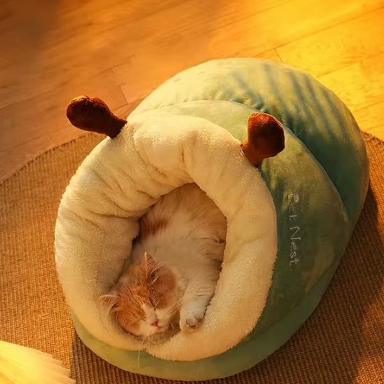 panier chat indispensable et fabuleux