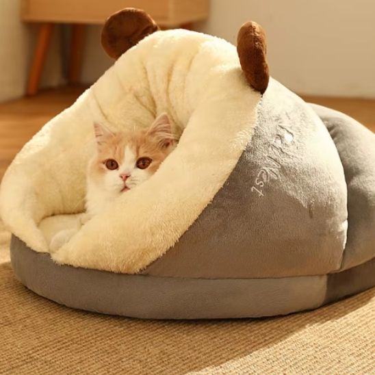 panier chat indispensable et ludique