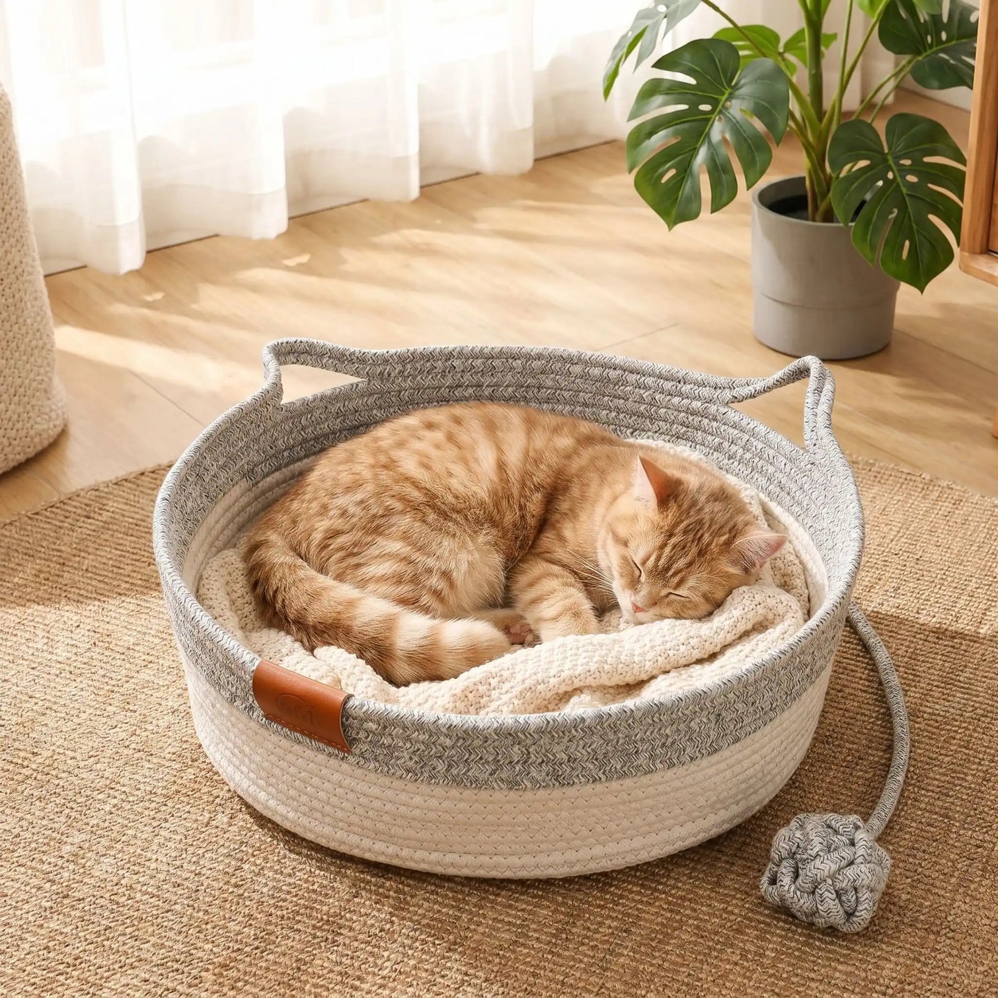 panier en rotin pour chat avec un chat qui dort en boule