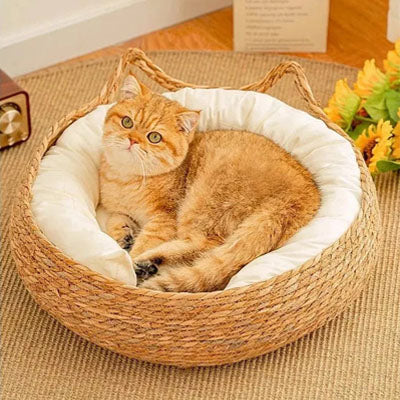 panier osier chat rond doux