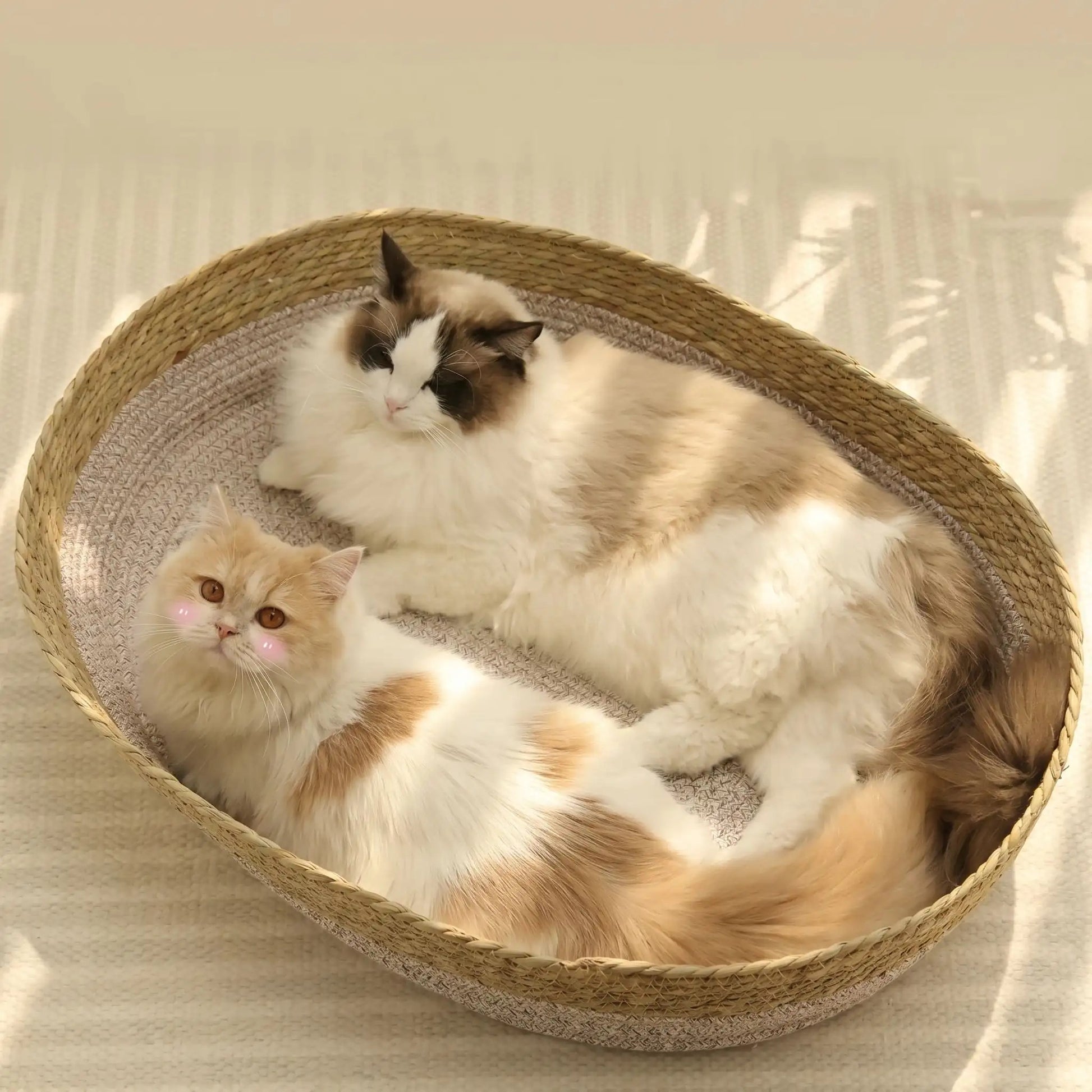 panier osier pour chat confortable et ovale