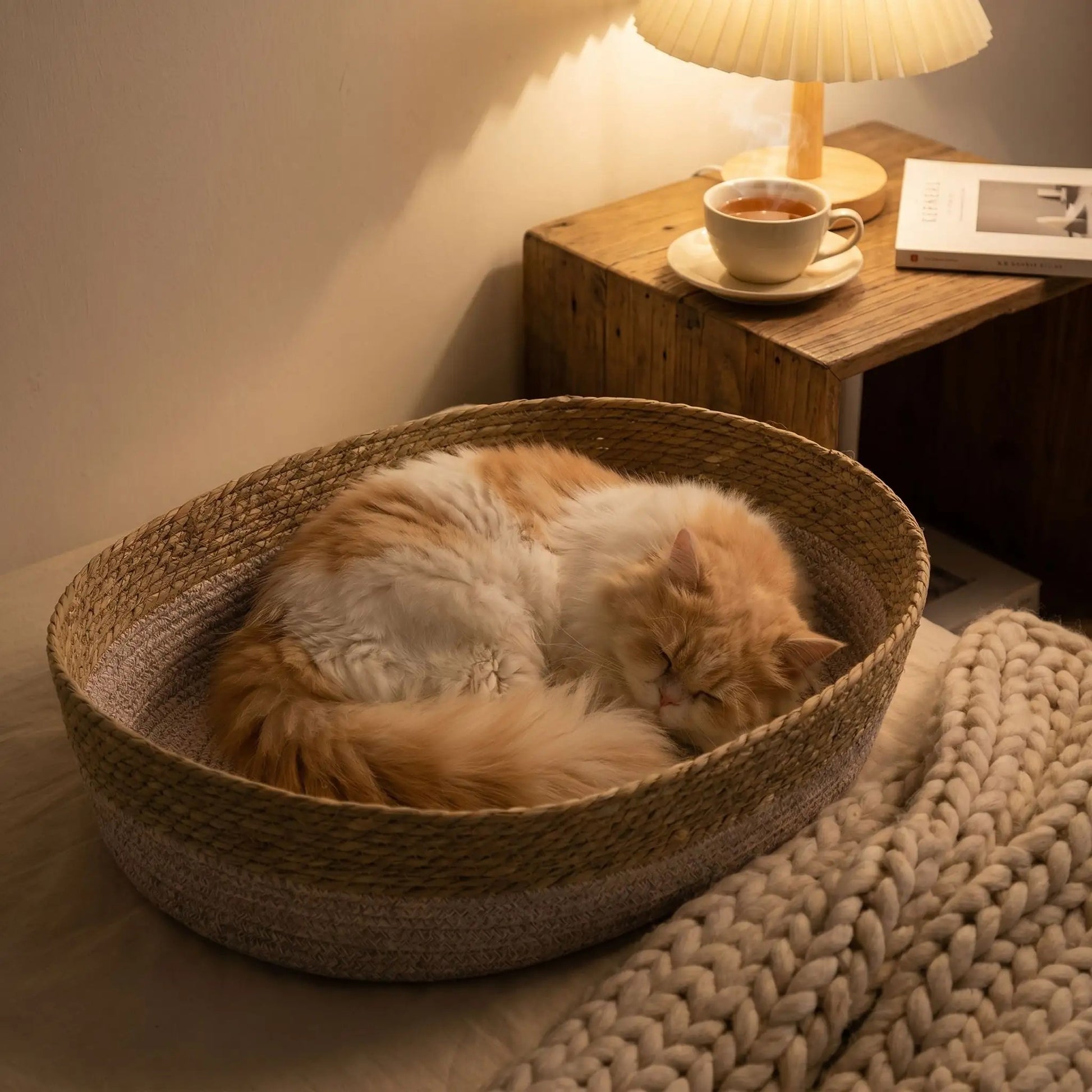 panier osier pour chat ludique et ovale
