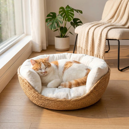 panier osier pour chat rond spacieux et confortable