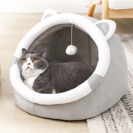 panier pour chat modeste