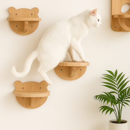 parcours mural chat avec chat blanc