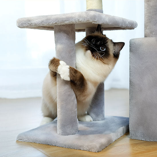 petit arbre a chat de couleur gris avec un chat qui fait ses griffes sur le poteau
