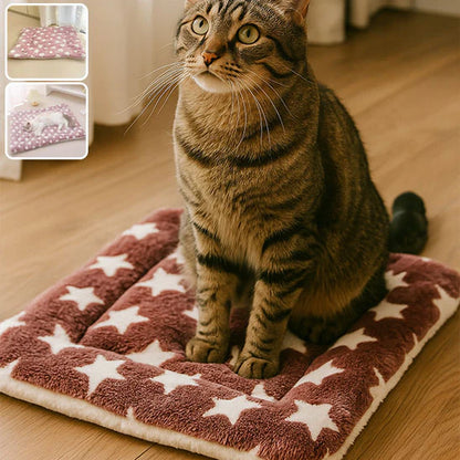 Tapis pour chat gris en peluche, 70 x 50 centimètres