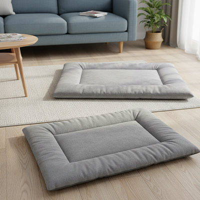tapis chat de couleur gris présentant deux tapis dans un salon chic et bien décoré avec un canapé bleu gris et une table beige