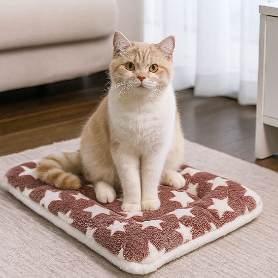 tapis chat douillet