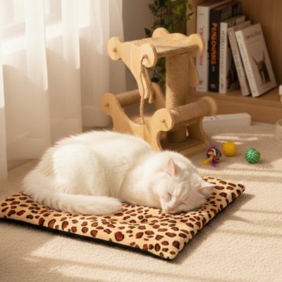 tapis chat en motif de léopard avec un chat blanc coucher dessus dans un salon moderne près d'une fenêtre