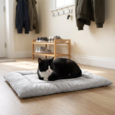 tapis chat de couleur gris épais avec un chat noir et blanc coucher dessus confortablement 