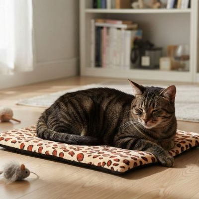 tapis chat de motif en léopard avec un beau chat foncé coucher dessus et se repose dans un salon lumineux