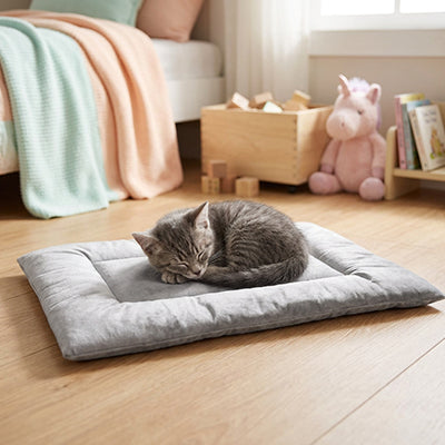 tapis chat de couleur gris avec un petit chaton coucher dessus qui dort paisiblement dans une chambre d'enfant lumineuse