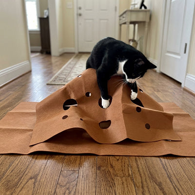 tapis pour chat fait de carton ondulé avec des trous avec un chat qui joue dessus