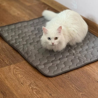 tapis rafraichissant chat de couleur gris avec un chat blanc coucher dessus prêt pour la sieste