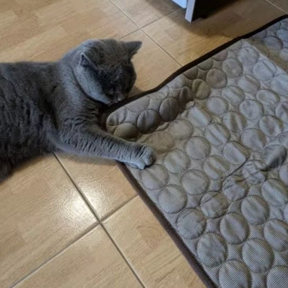 tapis rafraichissant chat de couleur gris avec un chat qui le sent pour s'installer pour dormir