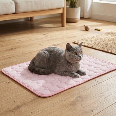 tapis rafraichissant chat de couleur rose pastel avec un beau petit chat gris coucher dessus dans un salon morderne