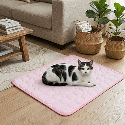 tapis rafraichissant chat de couleur rose pastel avec un chat noir et blanc coucher dessus dans un salon très chic 