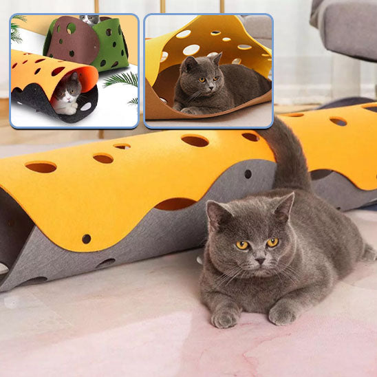 tunnel pour chat amusant et ingenieux