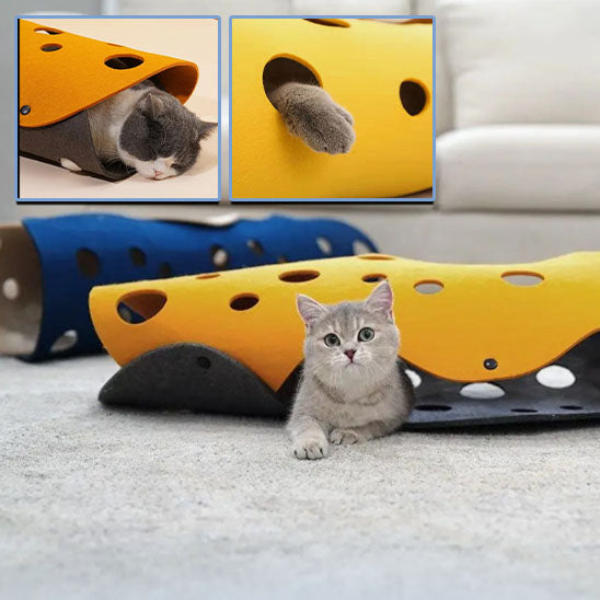 tunnel pour chat jaune bleu